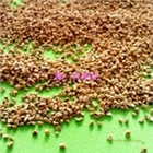 凈水濾料廠家核桃殼濾料果殼濾料機(jī)械油田污水處理濾料